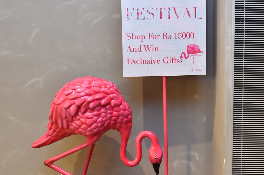 The Chanakya Gifting Festival