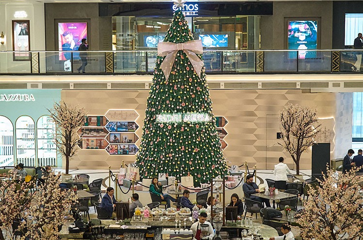 Ridhi Mehra X The Chanakya Christmas Tree