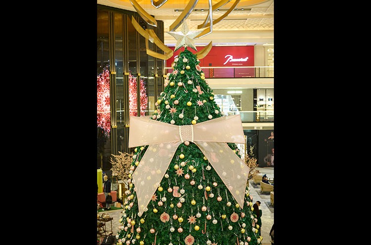 Ridhi Mehra X The Chanakya Christmas Tree